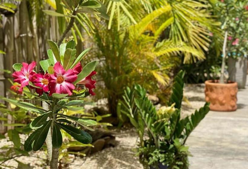 تختخواب و صبحانه Tala Lodge Bonaire