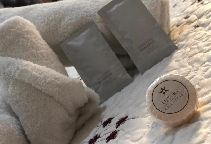 فندق Residencial Victoria Said