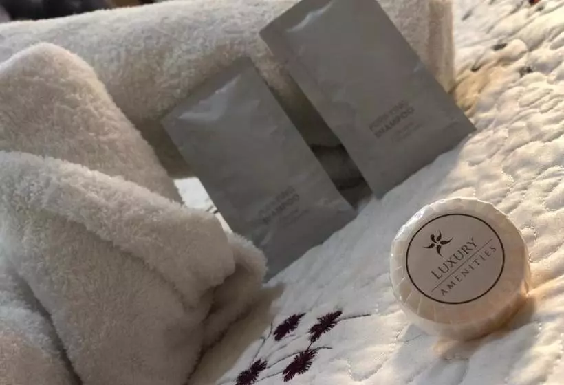 Hotelli Residencial Victoria Said