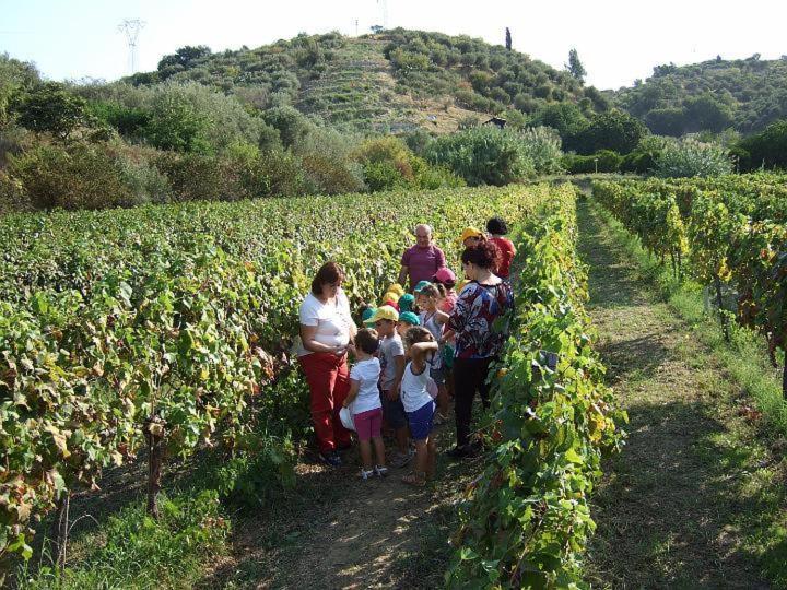 هتل Agriturismo Parra