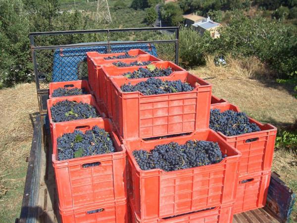 هتل Agriturismo Parra