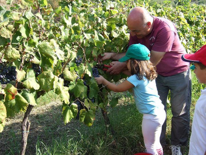 هتل Agriturismo Parra