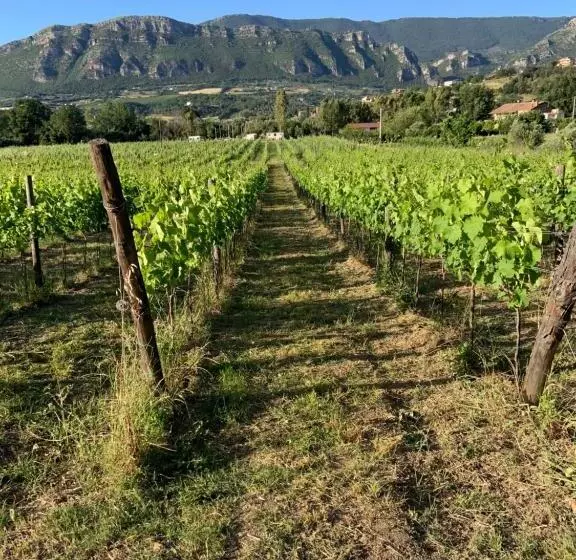 Hotelli B&b Panta Rei