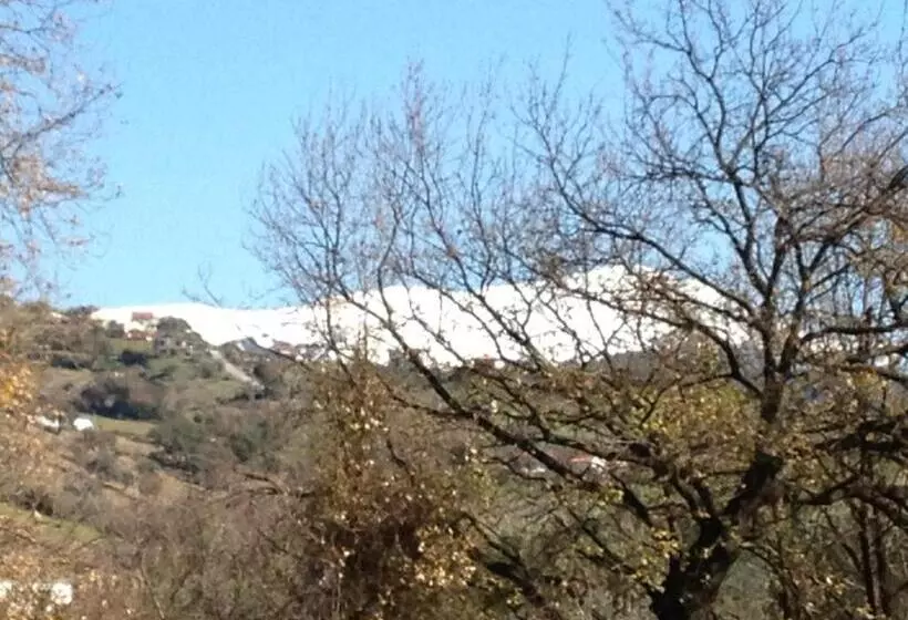 Hotelli B&b Panta Rei