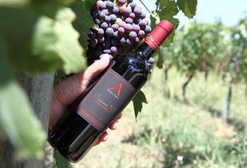 Отель B&b Panta Rei