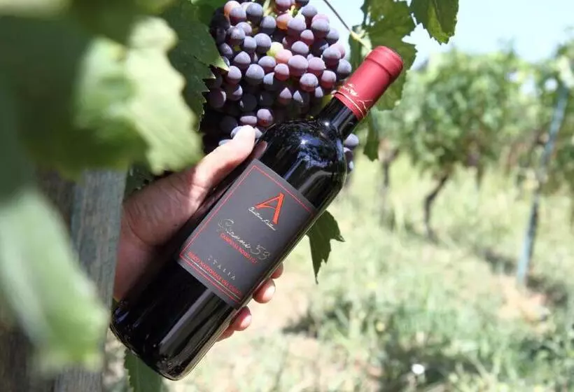 Hotelli B&b Panta Rei