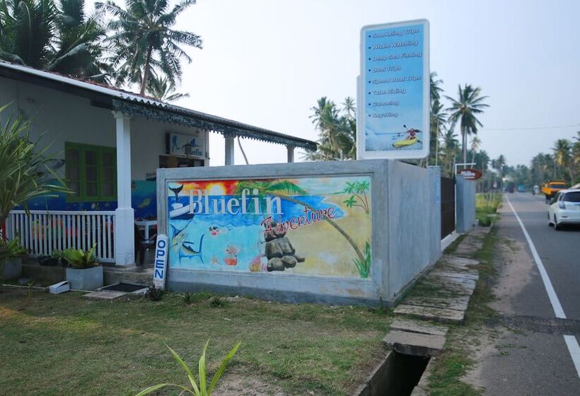 Hotell Bluefin Adventure   Hostel