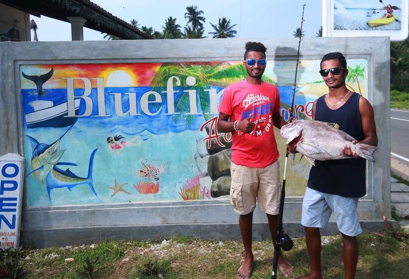 Hotell Bluefin Adventure   Hostel