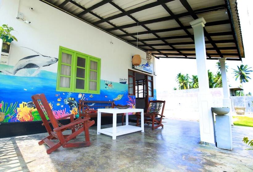 Hotell Bluefin Adventure   Hostel