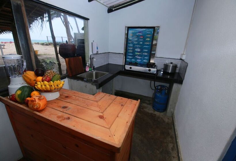 Hotell Bluefin Adventure   Hostel