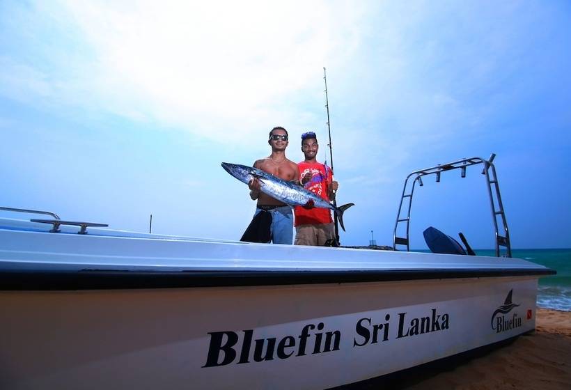 Hotell Bluefin Adventure   Hostel