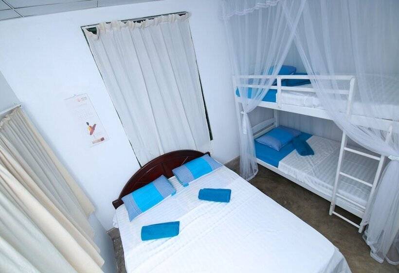 Hotell Bluefin Adventure   Hostel