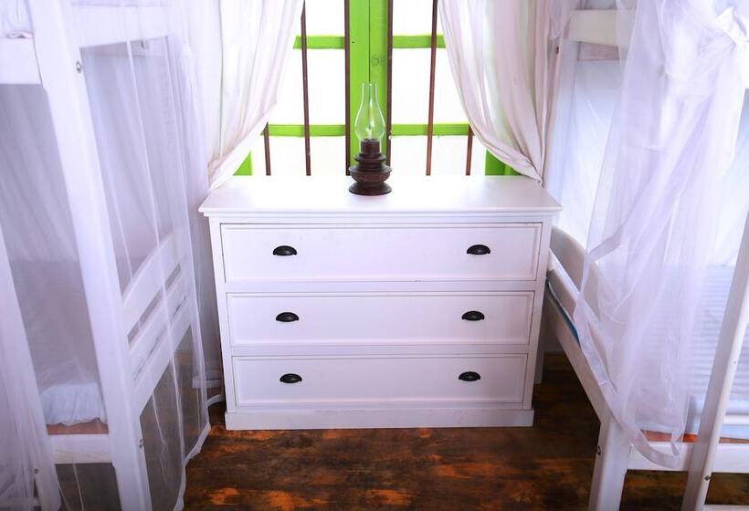 Hotell Bluefin Adventure   Hostel