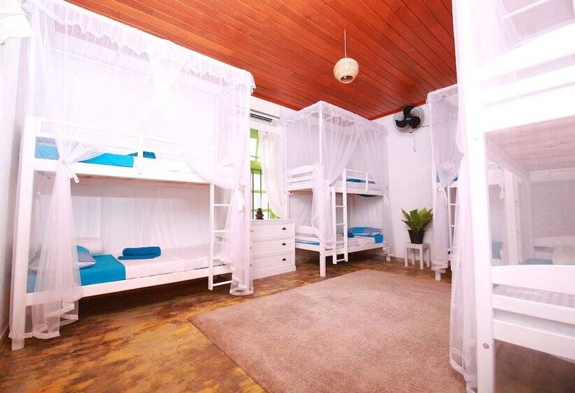 Hotell Bluefin Adventure   Hostel