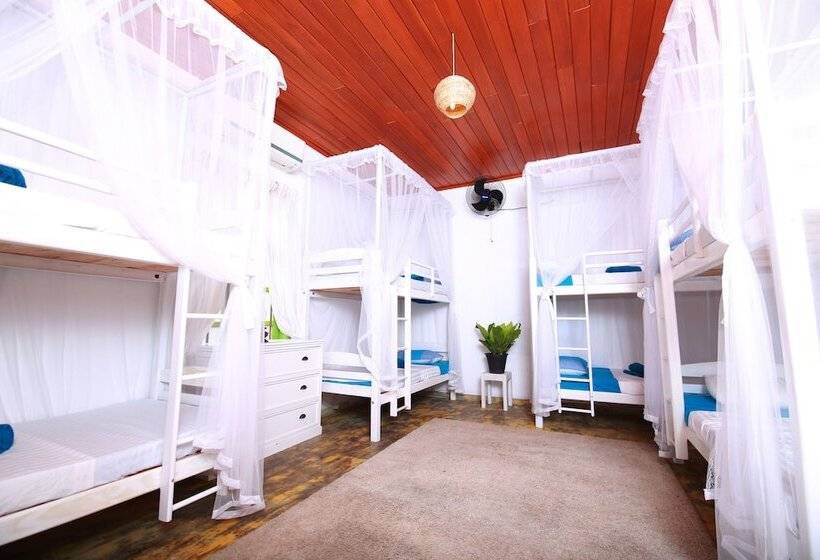 Hotell Bluefin Adventure   Hostel