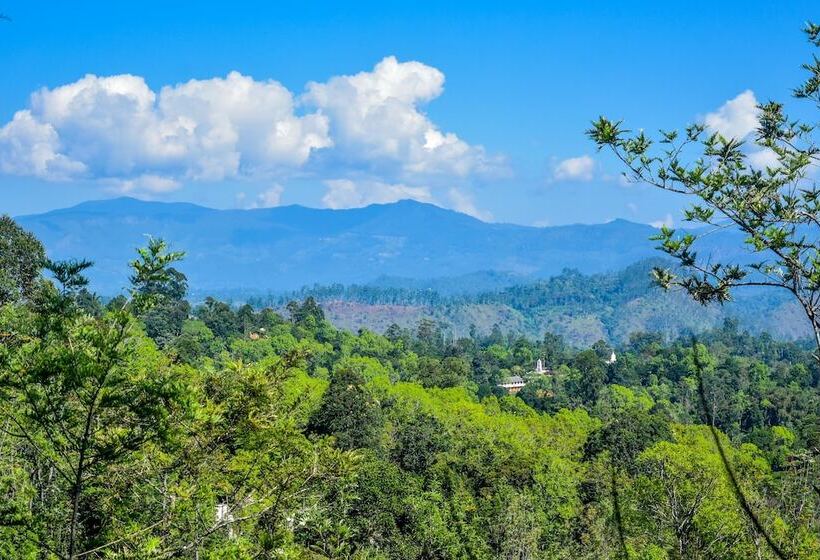 Отель Mf Estate Holiday Bungalow