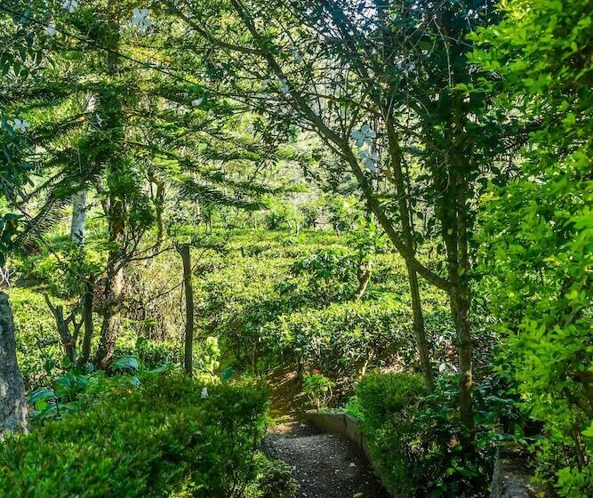 Отель Mf Estate Holiday Bungalow