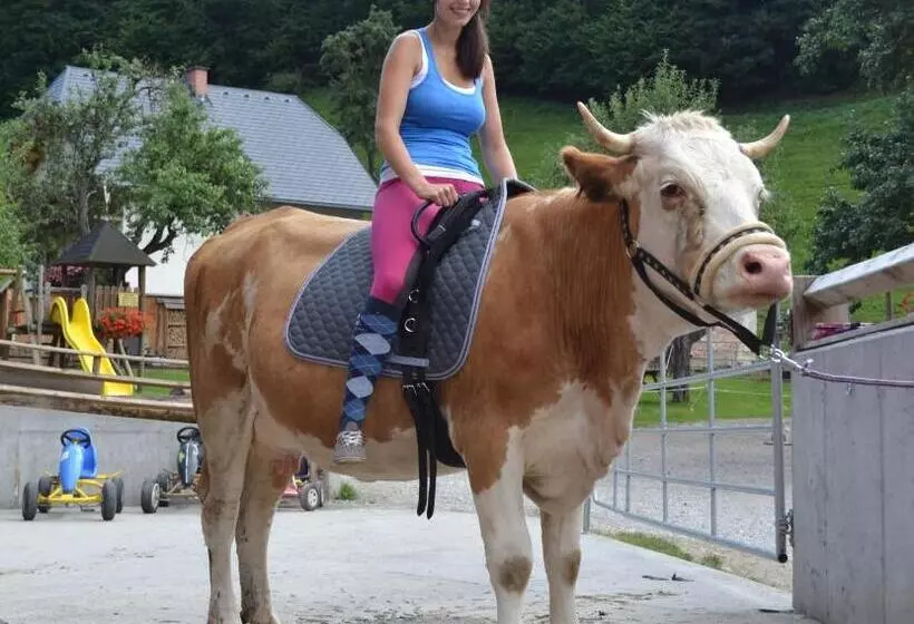 Bio Bauernhof Hotel Matlschweiger