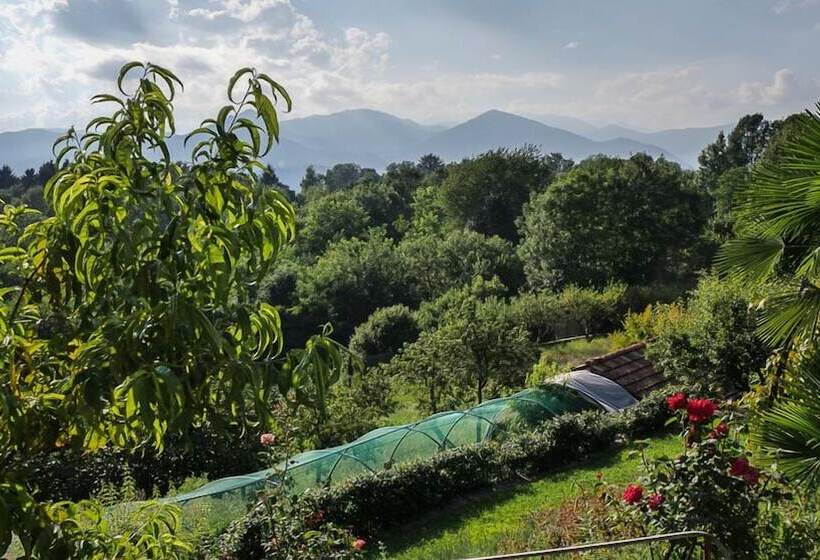 فندق Albergo Ristorante Monterosa