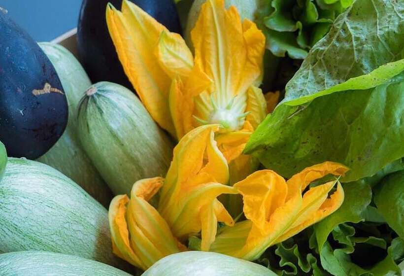 فندق Albergo Ristorante Monterosa