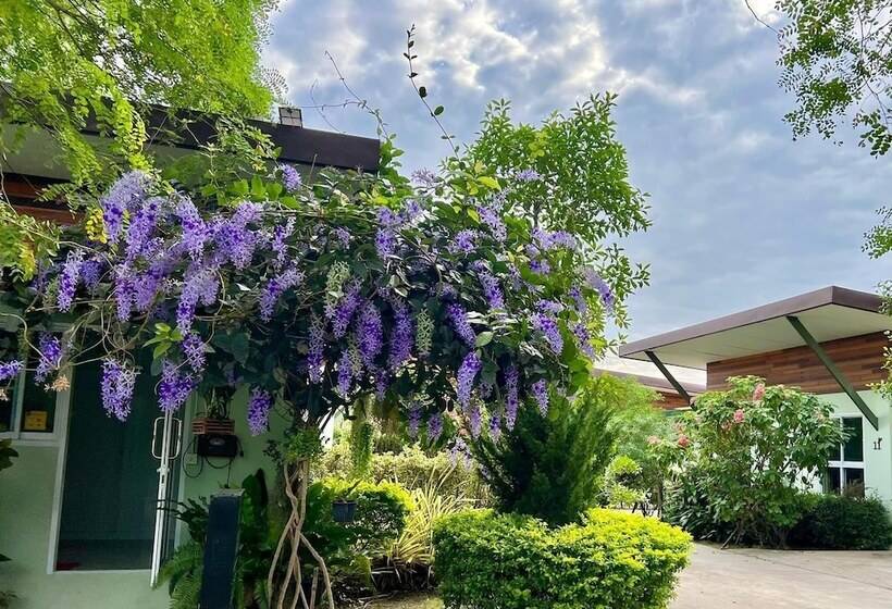 酒店 Me And Tree Villa