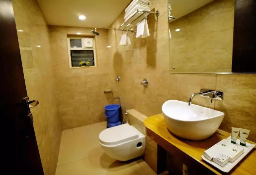 Palette Resorts  Carnival Resort