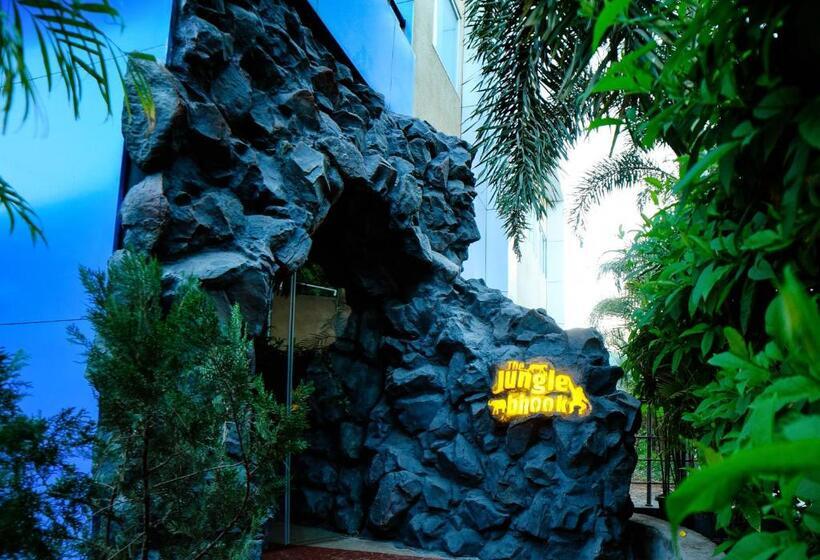 Palette Resorts  Carnival Resort