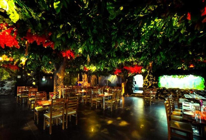 Palette Resorts  Carnival Resort