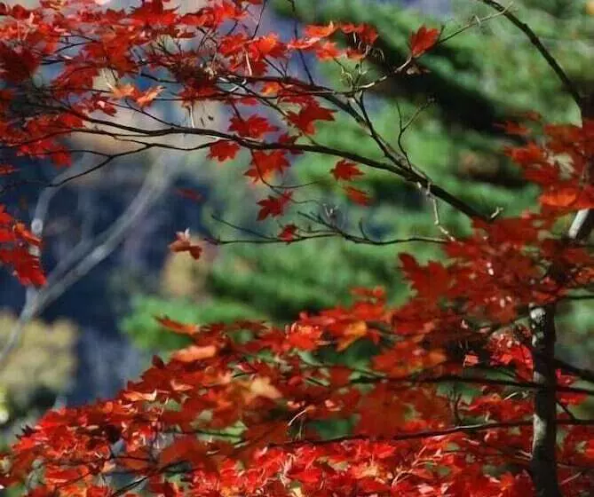 Majatalo Guesthouse Anthut