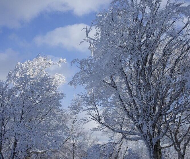 Pensão Guesthouse Anthut