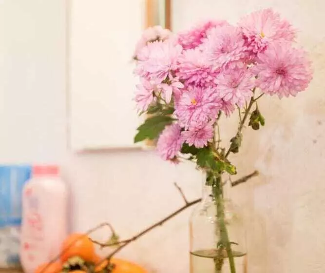 Majatalo Guesthouse Anthut