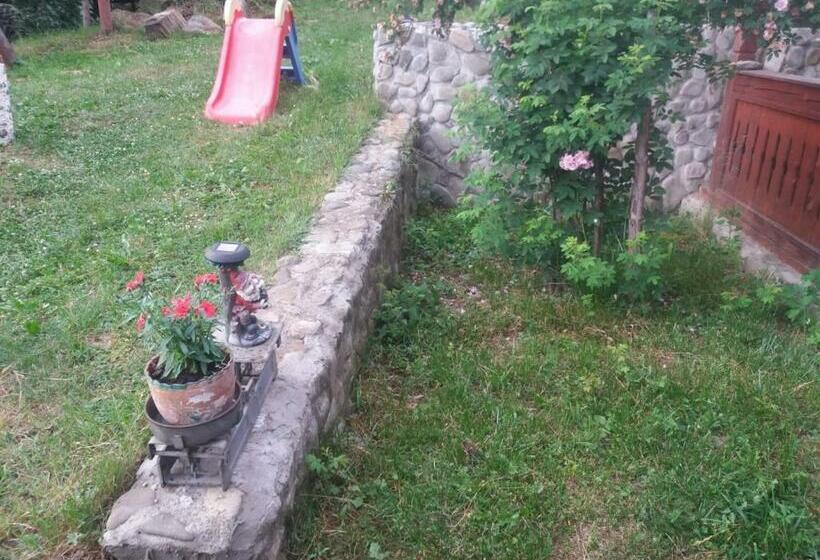 Pension Lucia Bucovina