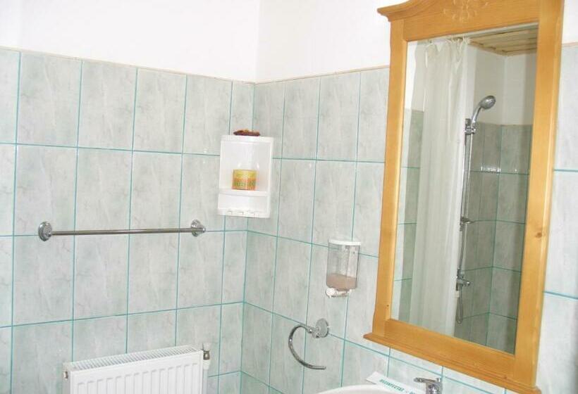 Pension Lucia Bucovina