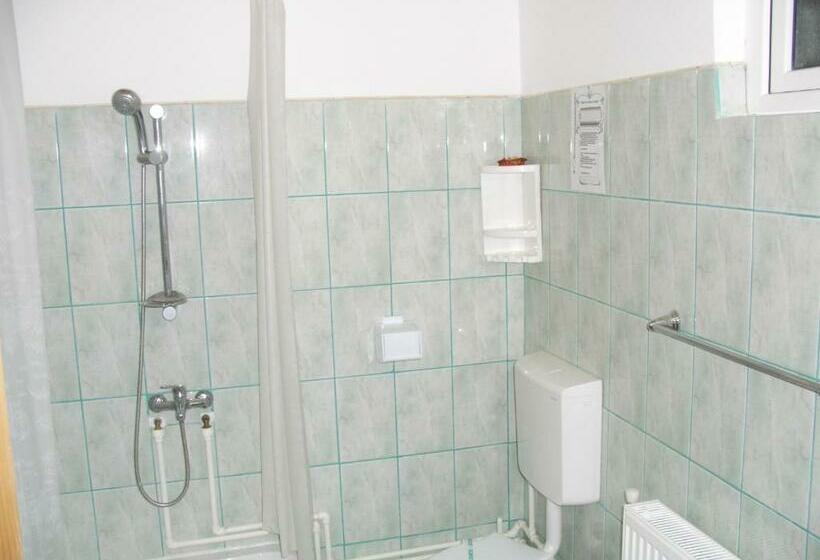 Pension Lucia Bucovina