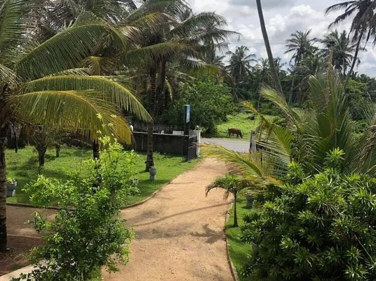 Aamiaismajoitus (B&B) C J Beach Resort