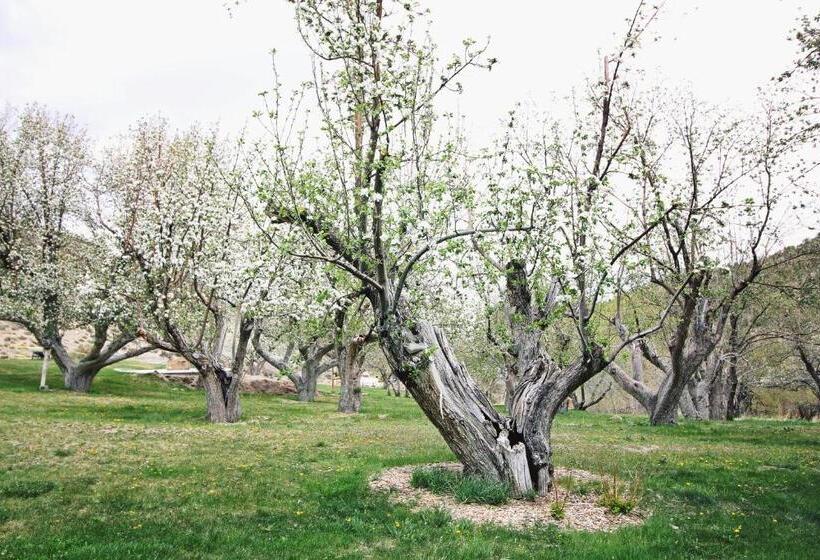 בית מלון כפרי Hidden Canyon Retreat