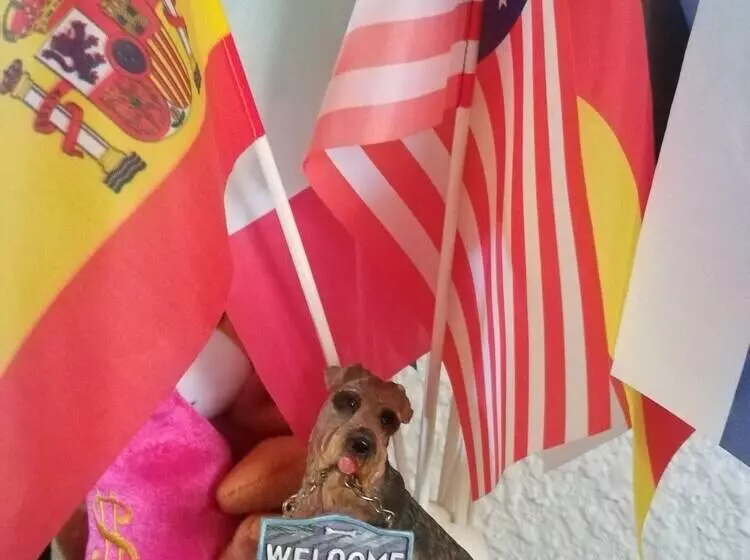 ペンション Lori Travel Guest House