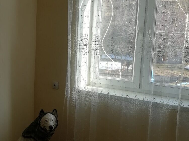 Pension Lori Travel Guest House