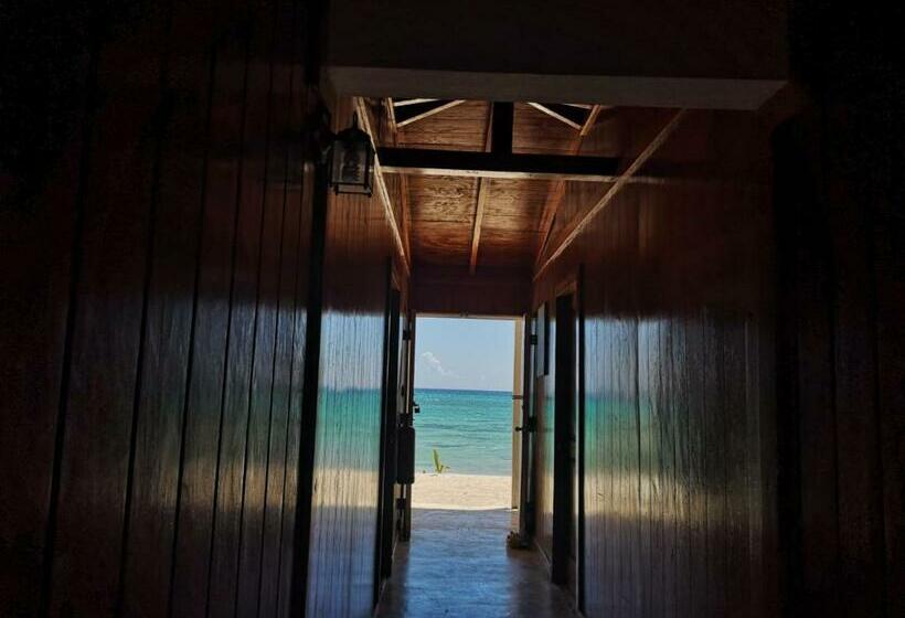 تختخواب و صبحانه Casa Rural El Paraíso De Saona