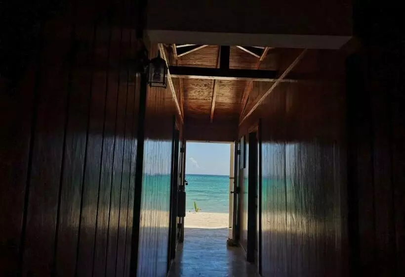 Aamiaismajoitus (B&B) Casa Rural El Paraíso De Saona