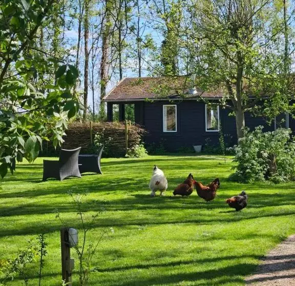 Aamiaismajoitus (B&B) De Zeeuwsche Hoeve