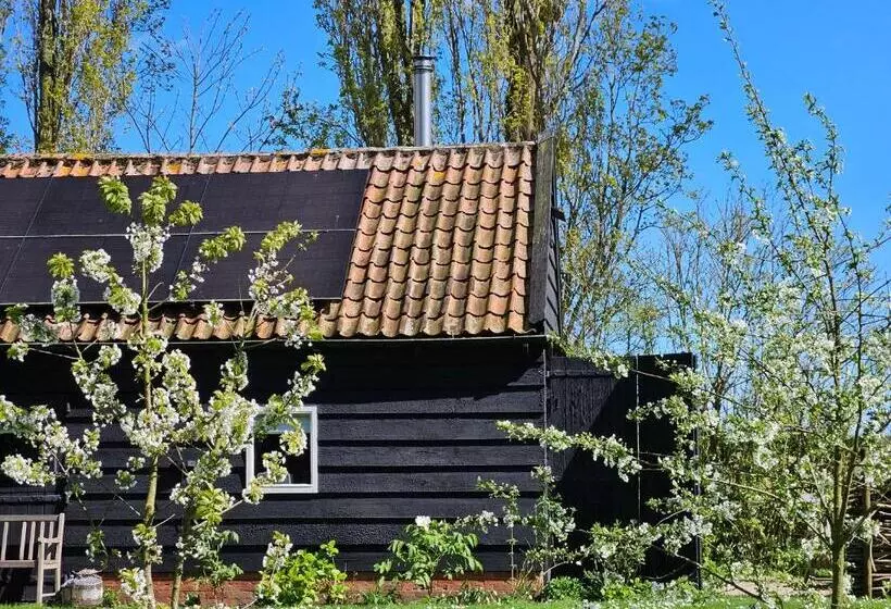 Aamiaismajoitus (B&B) De Zeeuwsche Hoeve