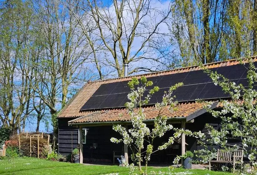 Aamiaismajoitus (B&B) De Zeeuwsche Hoeve