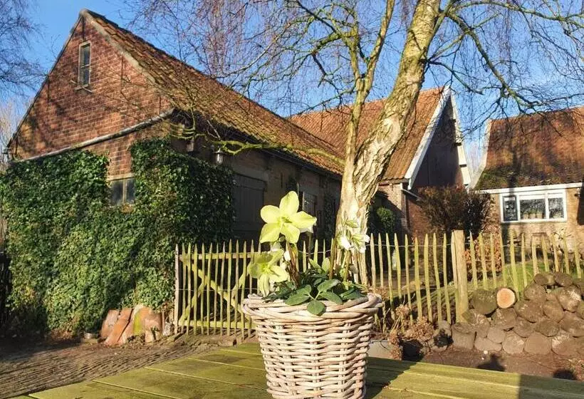 Aamiaismajoitus (B&B) De Zeeuwsche Hoeve