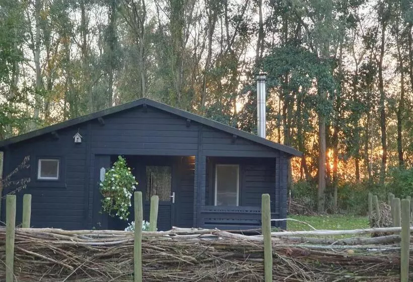 Aamiaismajoitus (B&B) De Zeeuwsche Hoeve