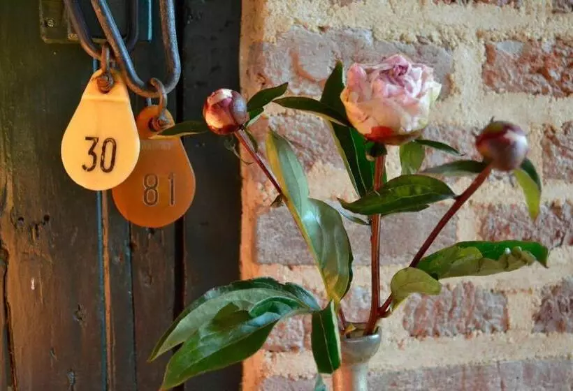 Dalauro Next Bed & Breakfast