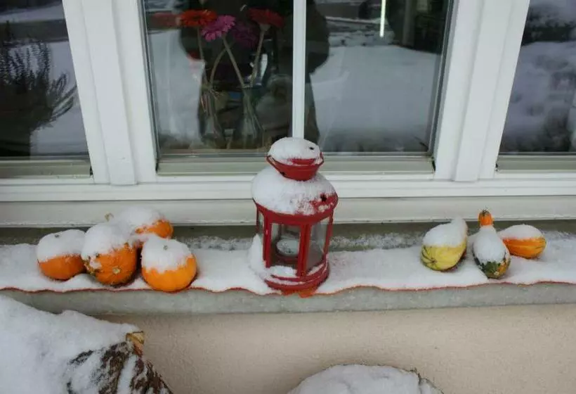 Ferienwohnung Und B&b Chasa Janett