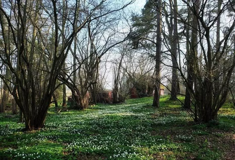 ホテル Bodelssons By The Sea