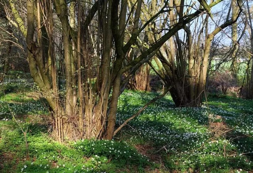 ホテル Bodelssons By The Sea