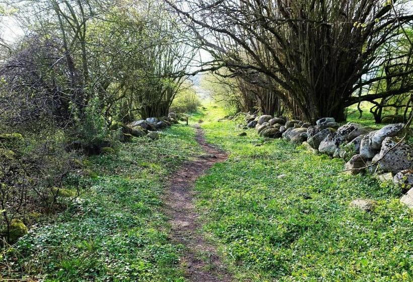 בית מלון כפרי Bodelssons By The Sea